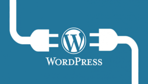 How-to-Install-a-WordPress-Plugin-696x398